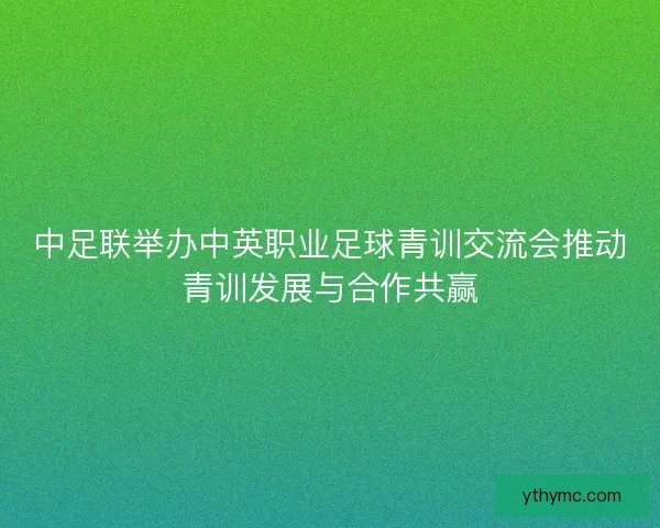 中足联举办中英职业足球青训交流会推动青训发展与合作共赢