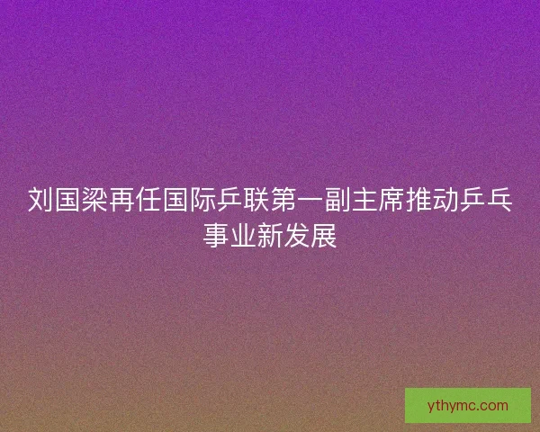刘国梁再任国际乒联第一副主席推动乒乓事业新发展